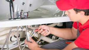 Best Plumbing System Maintenance  in Grosse Pointe, MI